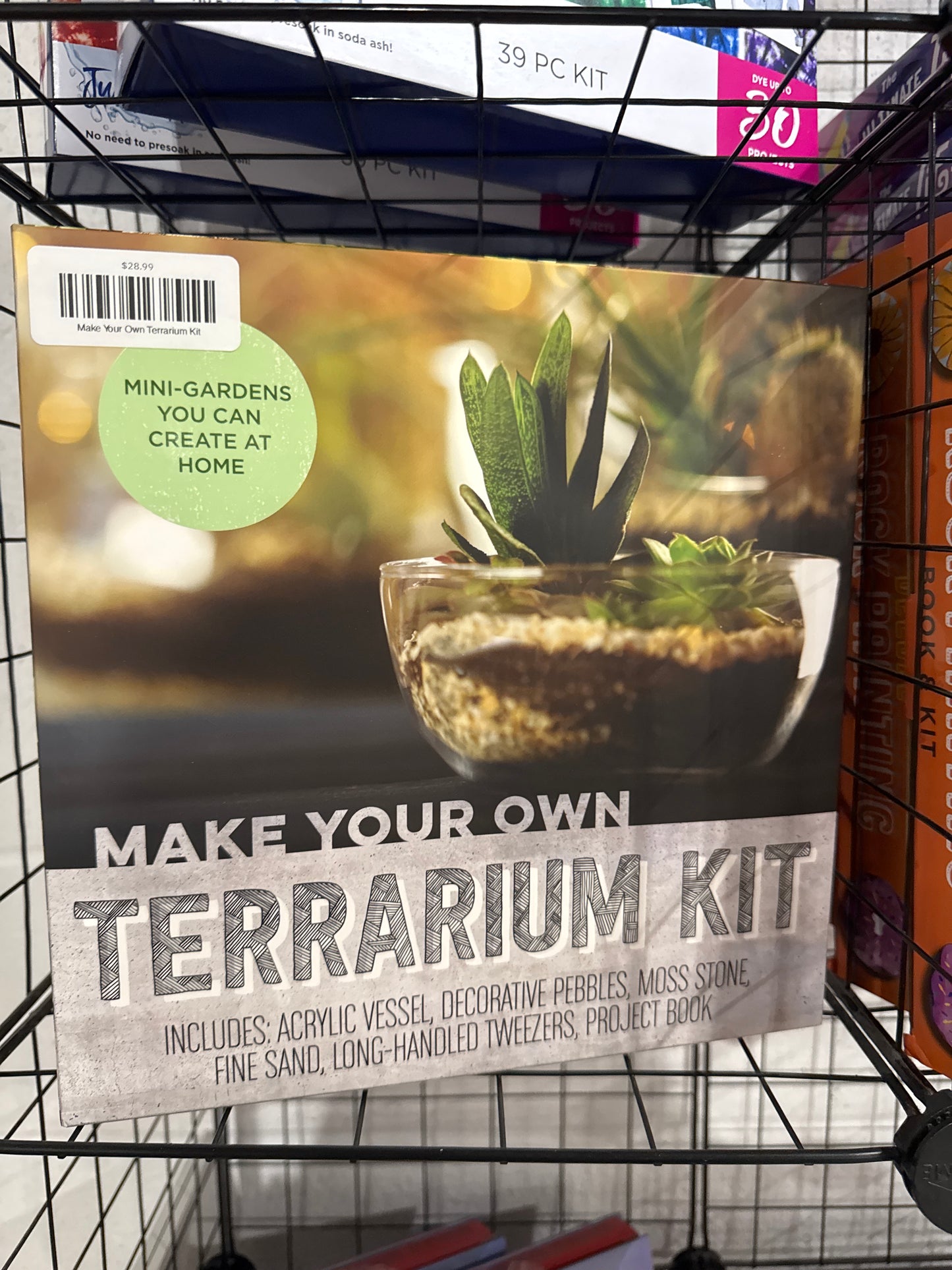 Make Your Own Terrarium Kit