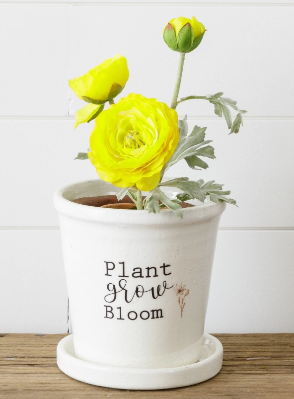 "Plant, Grow, Bloom" Pot w/ Saucer