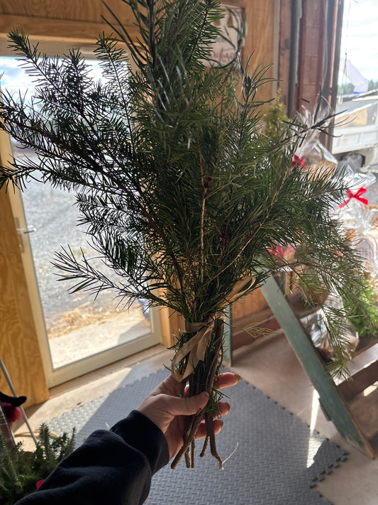 Live Greenery Bundle