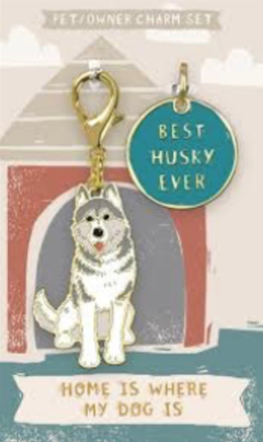 Pet & Owner Charm Set