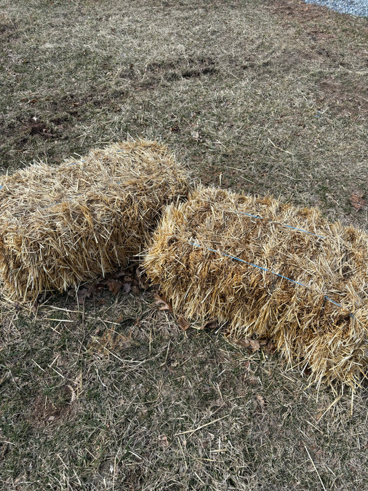 Small Straw Bale