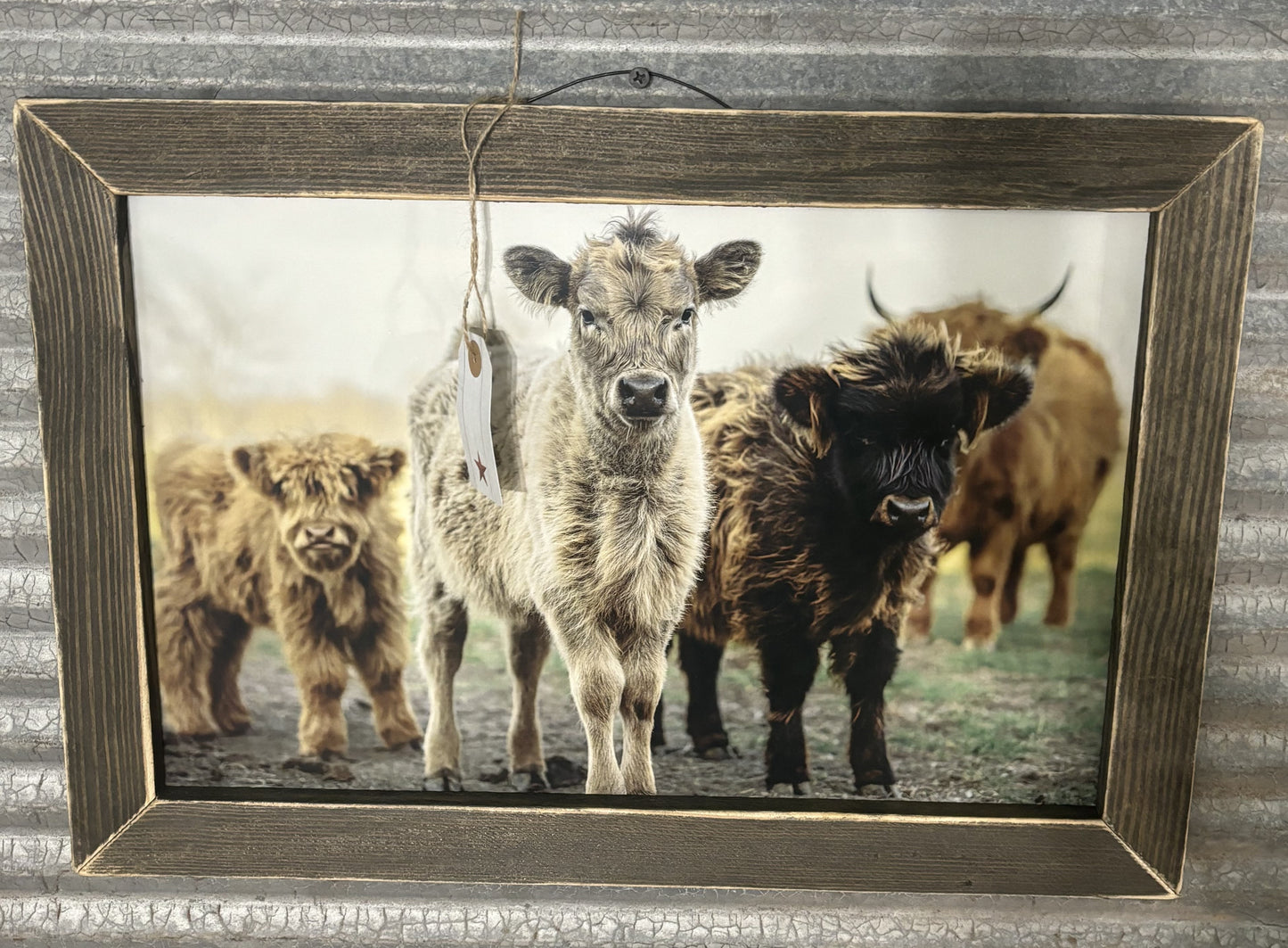 Wood Framed Pictures