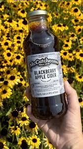 Blackberry Cider (Filtered) 16oz